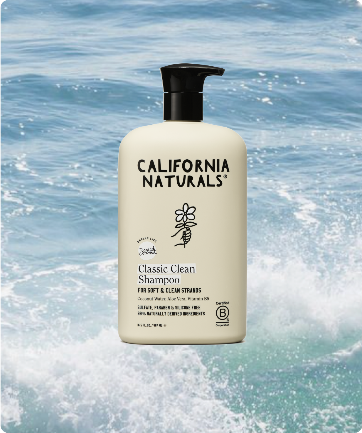 Classic Clean Shampoo