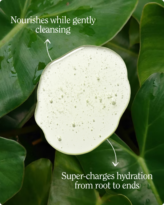 Super Moisture Shampoo