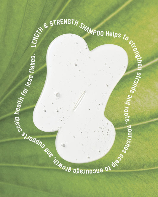 Re:GRO Anti-Thinning Shampoo