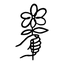 logo of