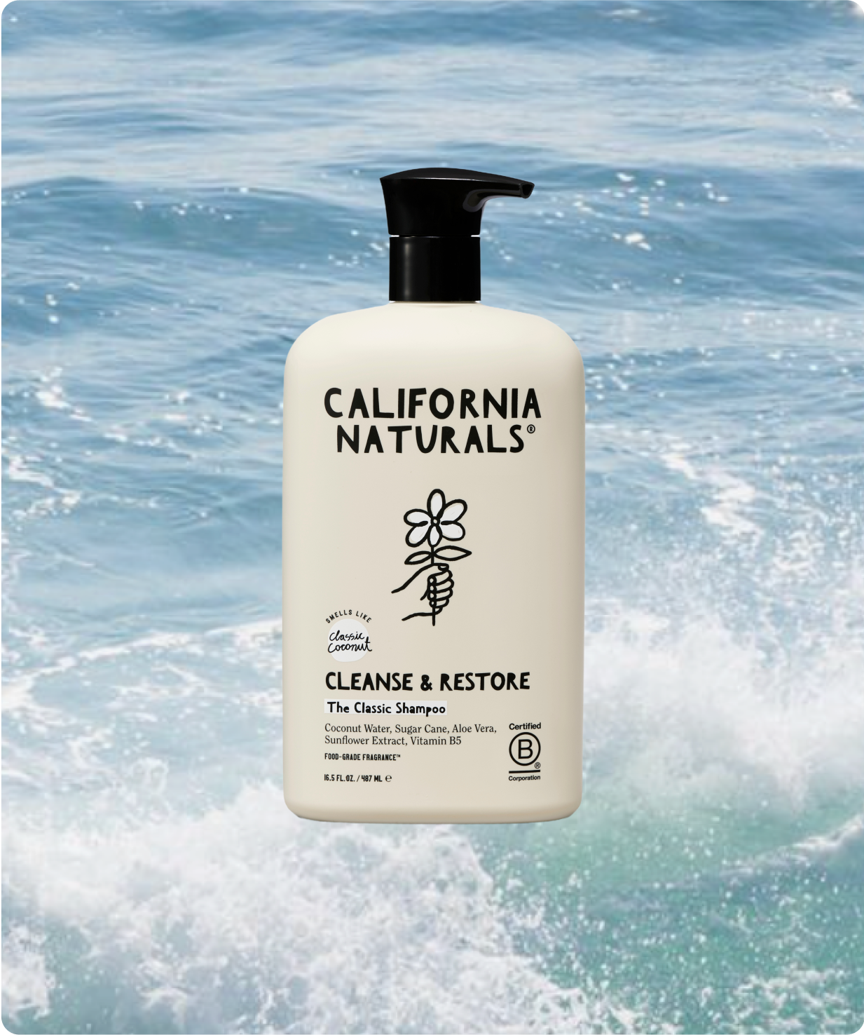 Classic Coconut Shampoo