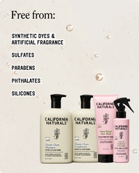 Best Seller Bundle