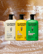 Body Wash Collection