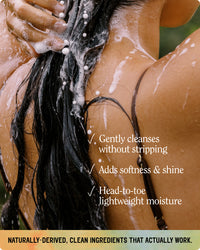 Toasted Coconut Bundle