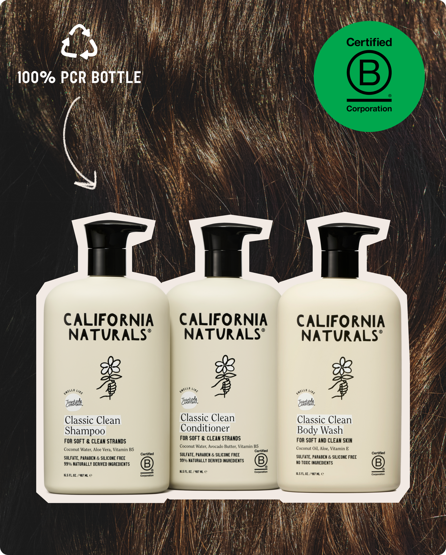 Classic Clean Collection