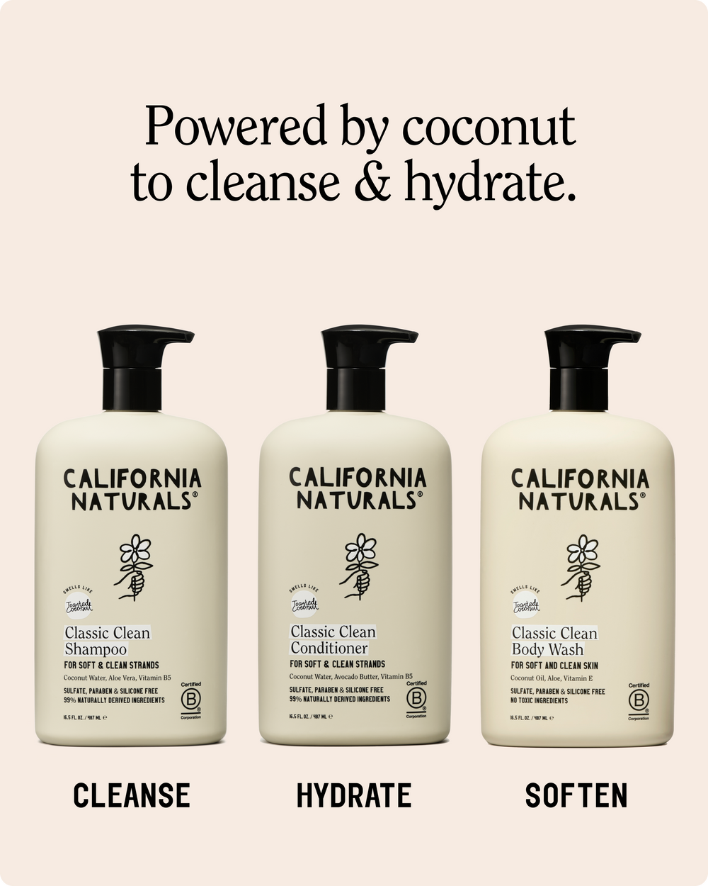 Classic Clean Conditioner 3.4 oz