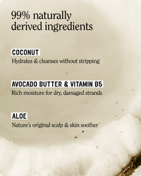 Classic Clean Shampoo & Conditioner Set