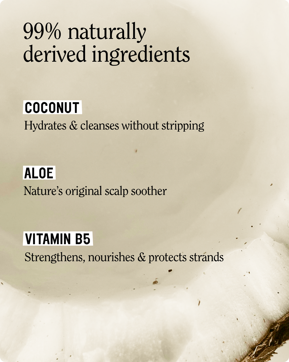 Classic Clean Shampoo 3.4 oz