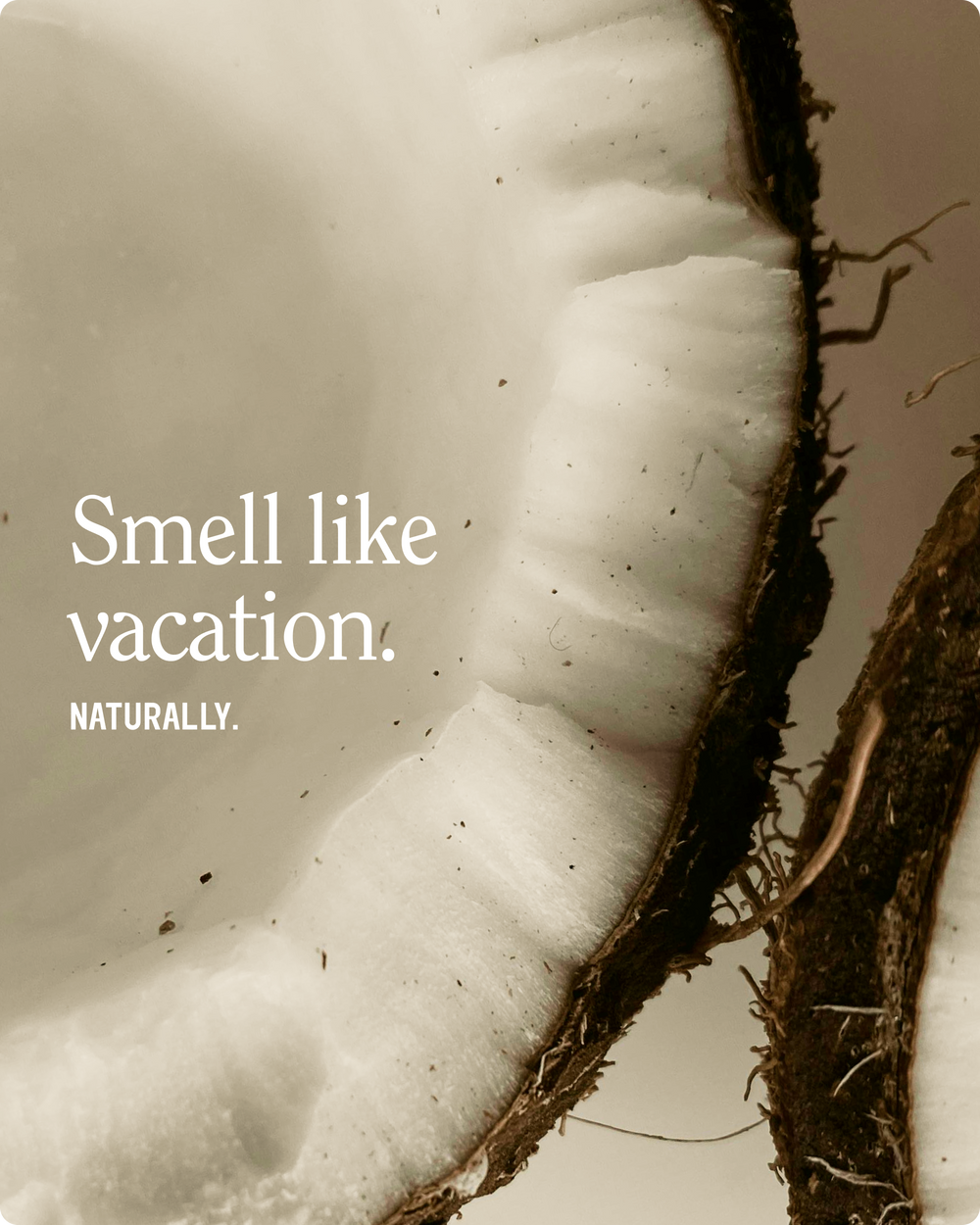Toasted Coconut Bundle