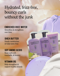 Dream Curl Collection