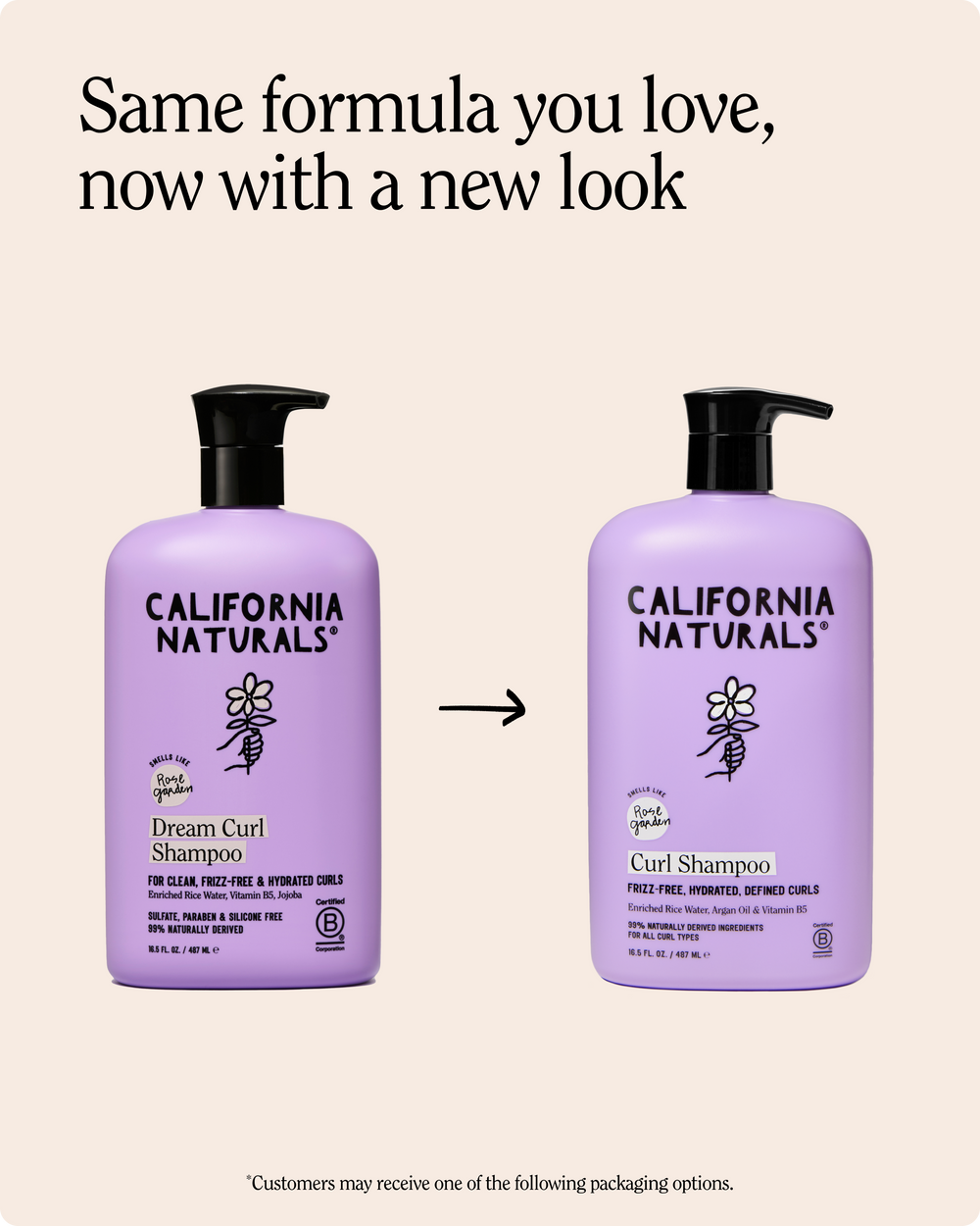 Curl Shampoo