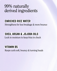 Dream Curl Shampoo