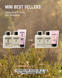 Mini Best Seller Bundle