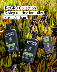 Men’s Re:GRO Anti-Thinning Scalp Serum 3-Pack
