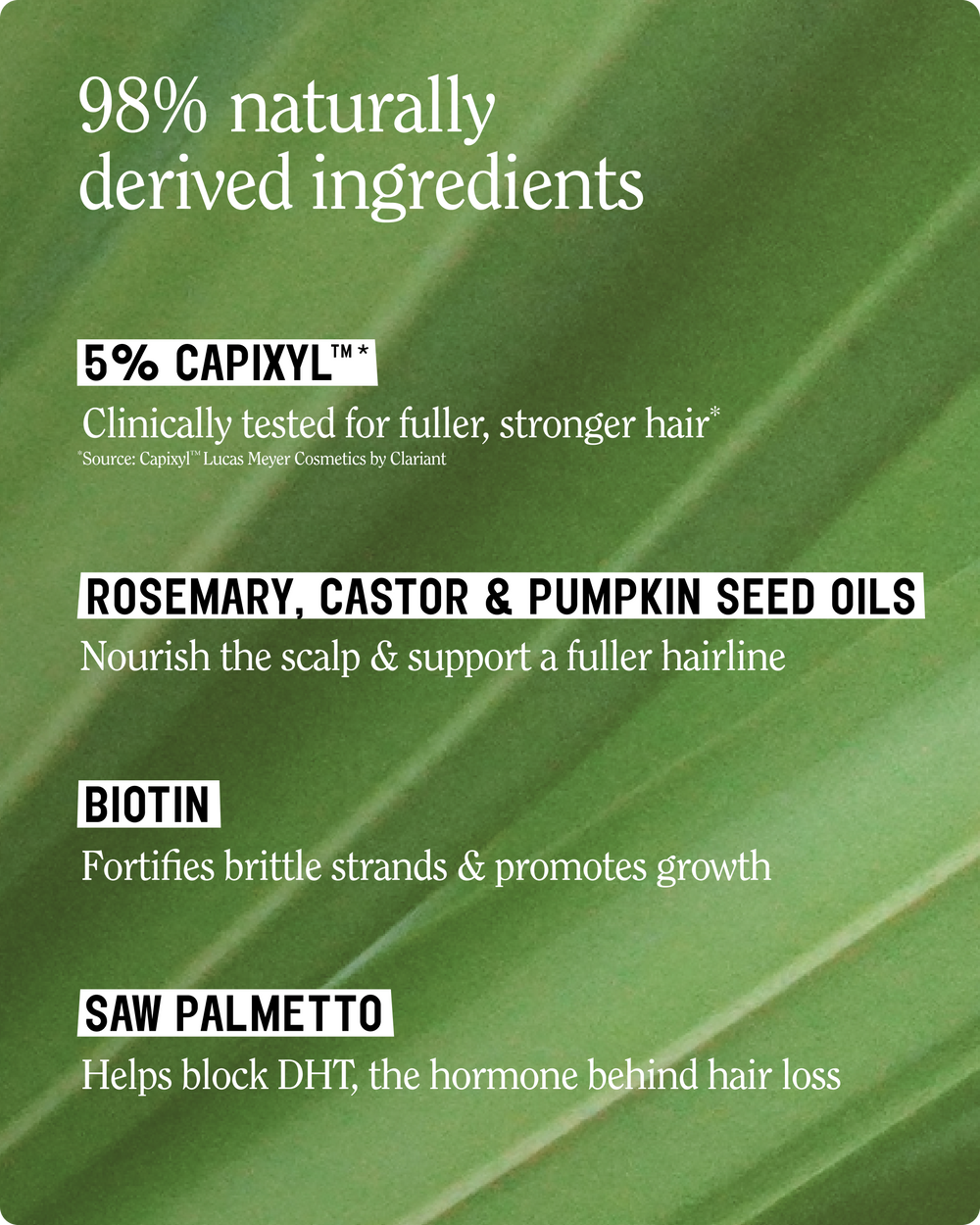 Re:GRO Scalp Serum Trio