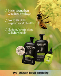 Men’s Strength & Style Bundle