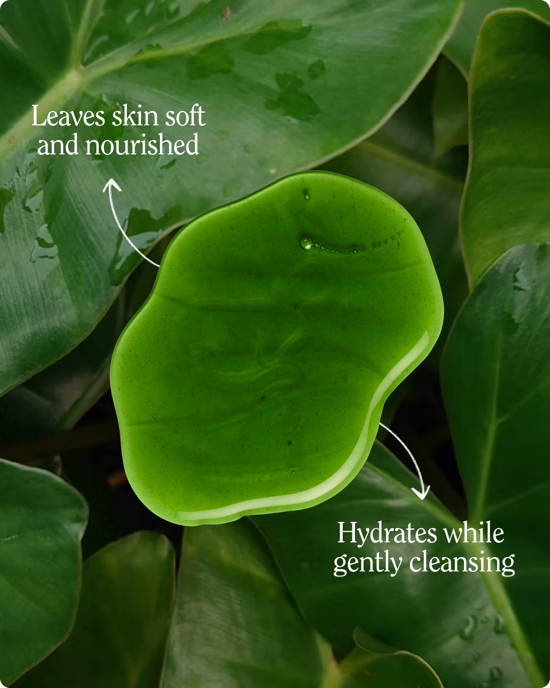 Super Moisture Body Wash