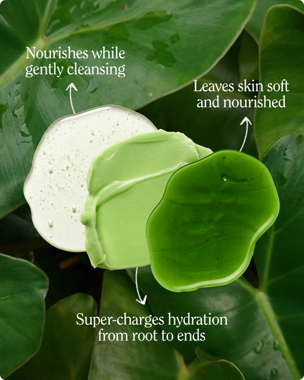 Super Moisture Collection