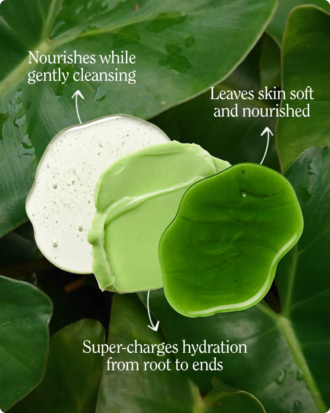 Super Moisture Collection