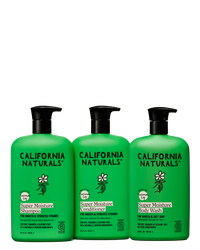 Super Moisture Collection