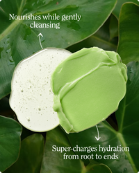 Super Moisture Shampoo & Conditioner Set