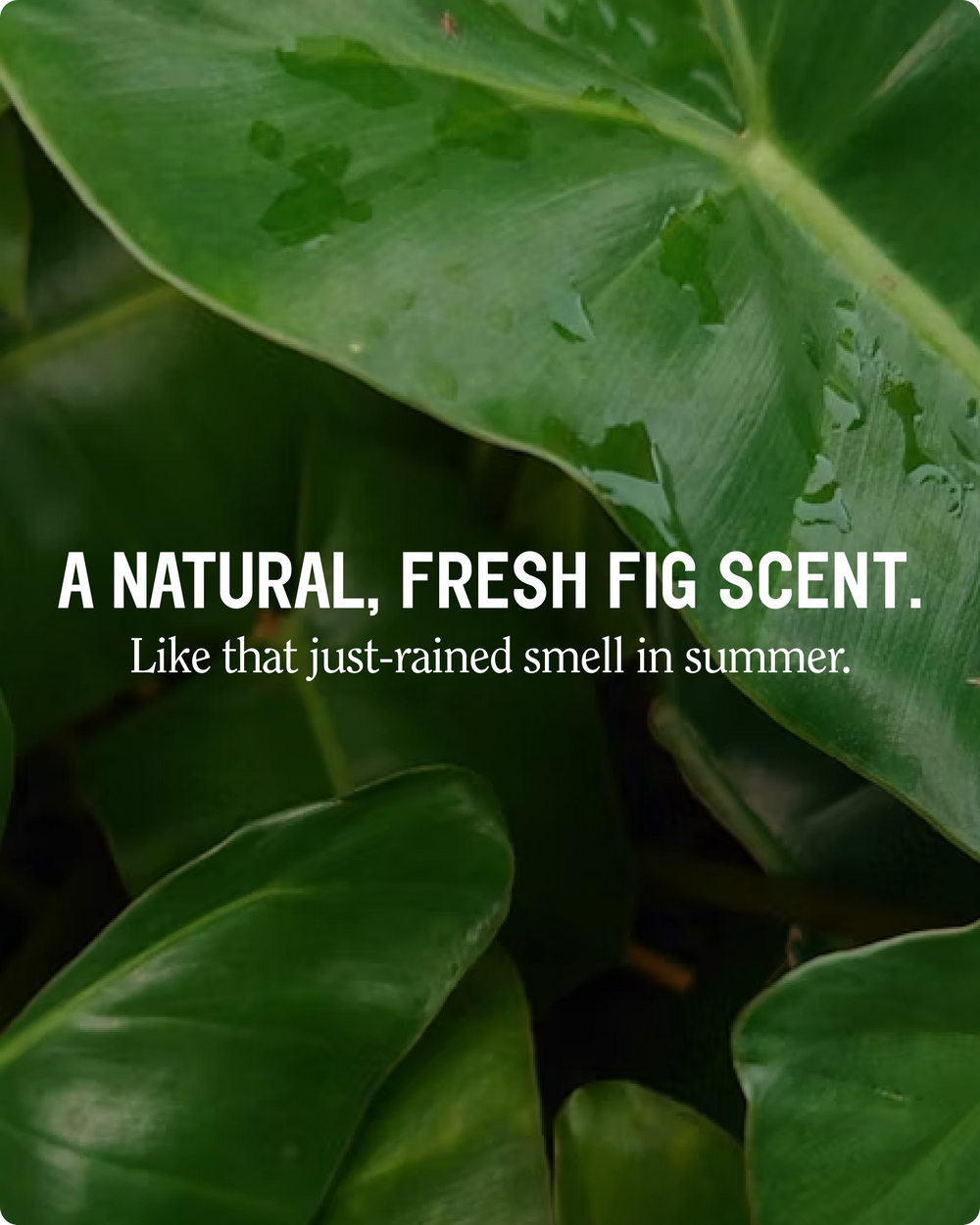 Super Moisture Body Wash