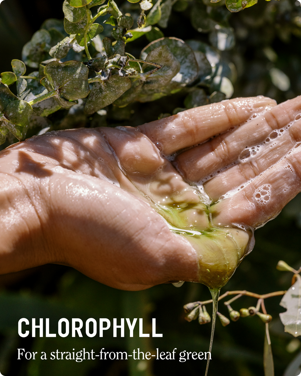 Super Moisture Body Wash