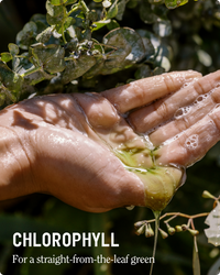 Super Moisture Body Wash