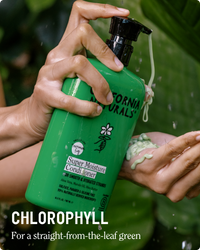Super Moisture Conditioner