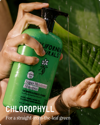 Super Moisture Shampoo 3.4 oz