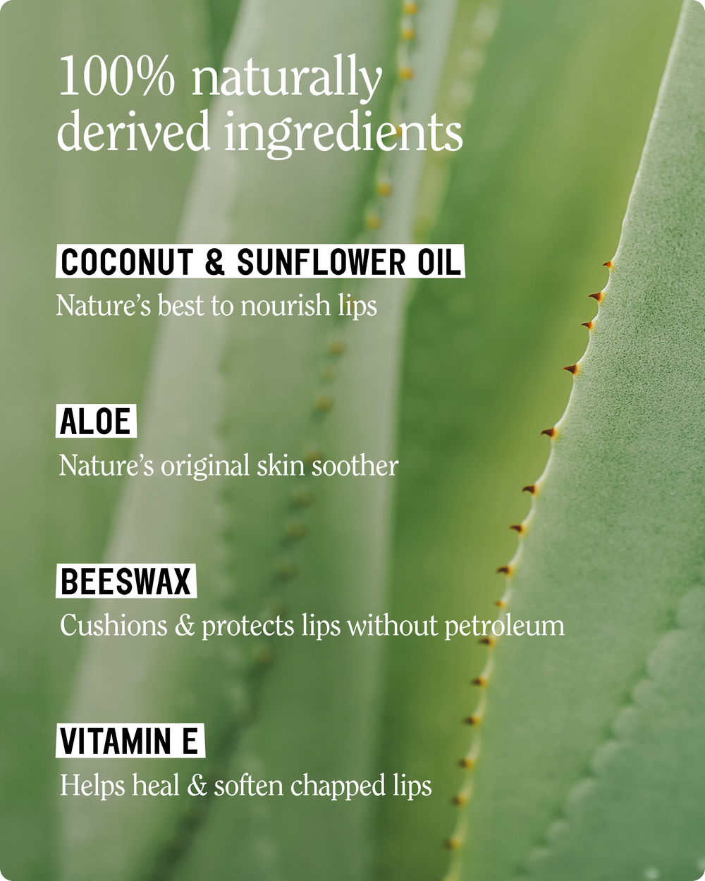 Hydrating Lip Balm, Toasted Coconut