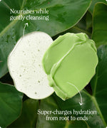 Super Moisture Shampoo & Conditioner Set