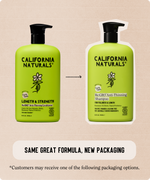 Re:GRO Anti-Thinning Shampoo