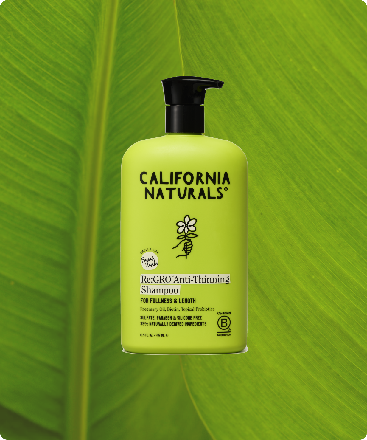 Re:GRO Anti-Thinning Shampoo