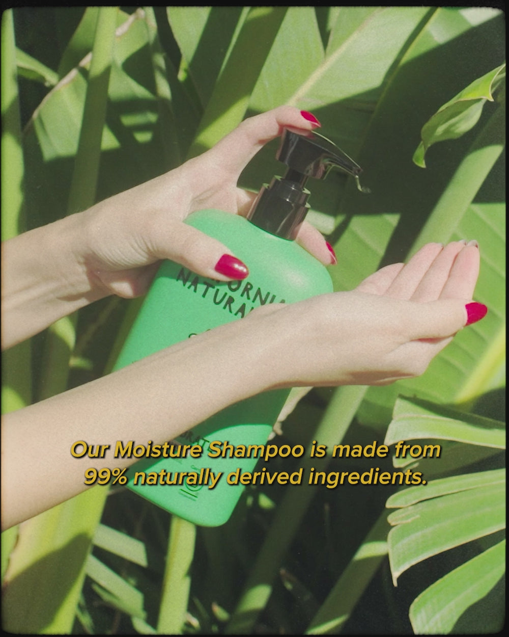 Super Moisture Shampoo